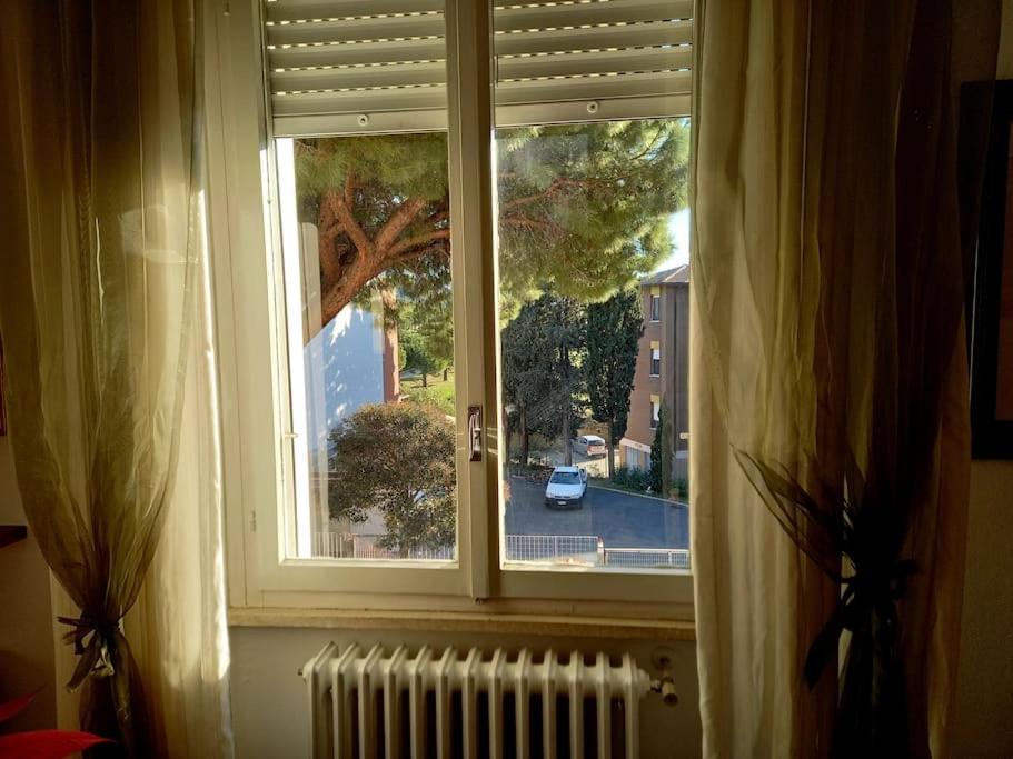 Apartament Casa Lola Livorno Zewnętrze zdjęcie